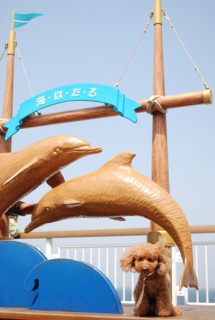 �C�ق��闈����`�����C�����ǂ��ˁ`�`�f�v������A�A�R�~�R�~�ˁB�B