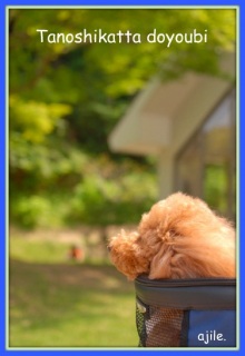 �y�������������`��{�Y��ȏ���D���Ȃ񂾂�ˁ`�J�t�F�ł��z�e���ł������ł��A�A