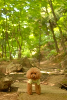 �����͂߂��Ⴍ����A�A��D���̂e���������񂾂����ȁ`