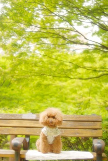 �����łe����������A���у^�C��������`���`������Ȃ��ė��������Ă��ѐH�ׂ鎖���o�����ˁ`