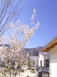 ����Ȃɑf�G�ȁA��_(^^)�^