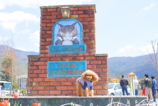 ������ƌΔȂ��牓�̂��Ƃ܂����������Ȃ����a�������`
