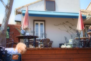 �J�[�g�ɏ���Ă͍~��ĕ��������`���āA�A