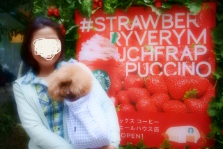 �X�^�o�̃C�x���g�J��ւ͓���Ȃ���������`