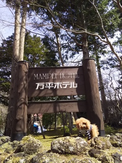 �����z�e���̑O��Fran����|�[�Y(*^^*)