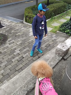������]��Fran����A