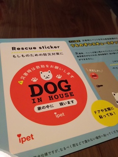 DOG in House