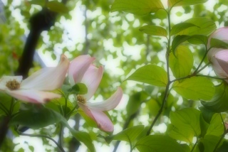 ���낢��ƍl�����Ⴄ�B