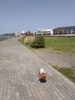 �܂������\��𗧂ĂĂȂ��A����̗��s�A