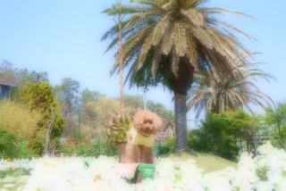 ����������O�Ɉ֎q�������Ă����OK�������̂����A�A�ƁA�A