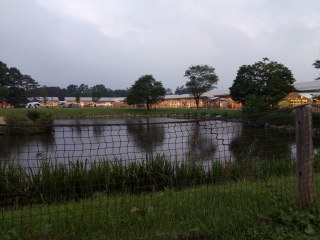 ����ώ��R�ɂ͋t�炦�Ȃ�😣