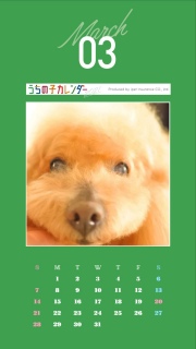 �J�����_�[�R��������Ă݂����ǂ��A�G�ߊ��O