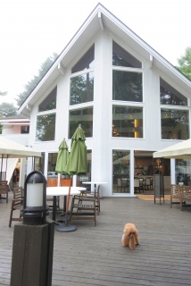 DOG�@DEPT�@���̎��͋󂢂Ă��B�B�B