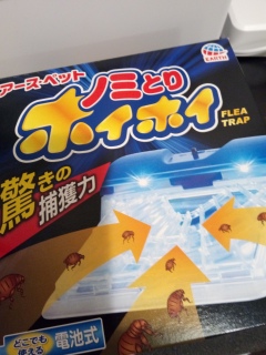 �A�[�X�y�b�g �m�~�Ƃ�z�C�z�C �����Ă�����B