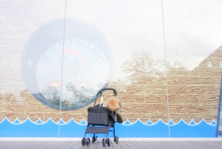 �V�j�A�̈�N��