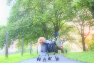 �Ȃ񂾂��񂾌����Ă�������̃Z�u���C���u���Œ������G�R�o�b�N����Ԏg���₷���āA