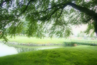 �Ђ�����Ƃ̂�т�Ƃ������Ɖ��₩�Ȏ��Ԃ�Fran����ƈꏏ�ɉ߂����Ă܂���