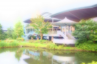 Fran����̍D���ȏꏊ�ɘA��čs���Ă����������ǁA�A