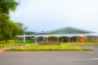 �l������Ă̂��U�������ӂɂȂ��Ă����i�΁@�A�E�g���b�g�l���Ȃ��ł���`