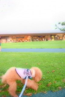 ������A�A�������������Ƃ��Ⴄ���H