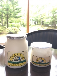 ���ꂪ�������������😍