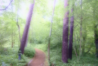 �k�y���͍ō��C�����Q�T�x�炵���B�B