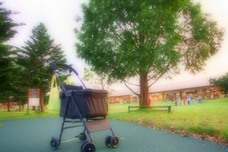 ����H���Ȃ��B�B�B