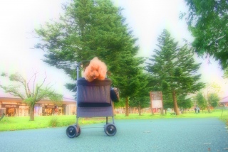 �����ƁA��яo�ė����`�`�i��