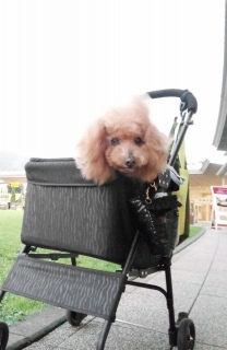 ����������😆❤️