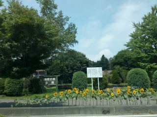 ���͂�A����������������❤️