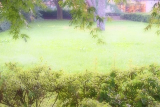 ����8��16��(��)�̓V�C�@�[���ȏ��������@��s���̓Q�������J�ɂ��v�x���ƁA�A