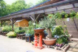 RK�K�[�f��