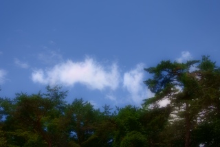 �y��򏋂��ē����͂��U�������B����ϖk�y�s�������B�v�������グ��