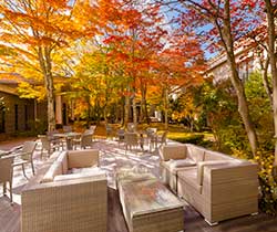 �H�͂���܂��f�G���I�I