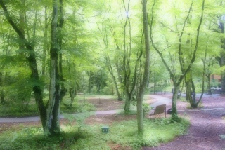 ����y���ł̎ʐ^�Ώ��Ȃ��B�B�B