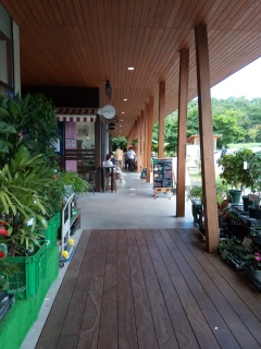 �y��򔭒n�s��ɂ�����❤️