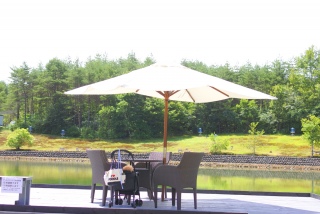 �Ō�̂P�Ȃłق�ƃ��b�L�[��������p���\���̉��͉��K�ŁA