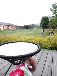 �܂��܂��A�E�g���b�g😊