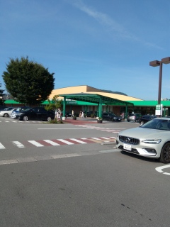 �c���������l�ň��Ă���💦