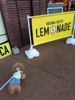 LEMONADE��������😄