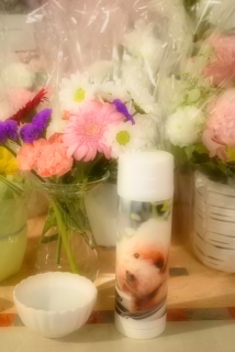 ���ꂩ���Fran���񂢂��ǂ��ւł��ꏏ�ɍs������