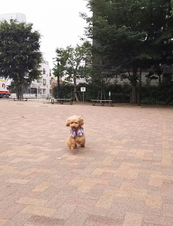 ���͂悤�������܂��B���A���Ȃ���😭