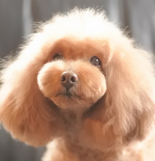 �����̓R�����g�����J�������Ē����܂��ˁBFran���񂪎₵���Ȃ��l�ɂ��������Ă�����������������ł��B