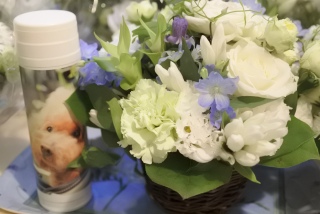Fran������������肵�A�������ꂸ�Ō��Fran����̓�������Ă���ƁA�A