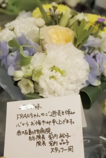 Fran����ԍ⓮���a�@����܂����Ԃ��͂�����B