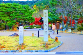 圓山公園にはワンコちゃんがたくさんお散歩してたよ。