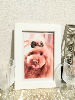 ������Fran�����F🥰