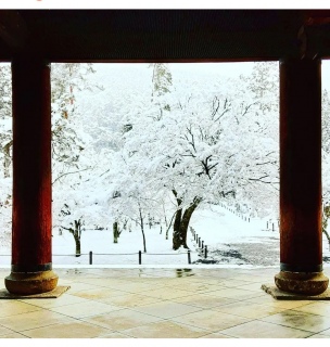 南禅寺の雪化粧が素敵❄️